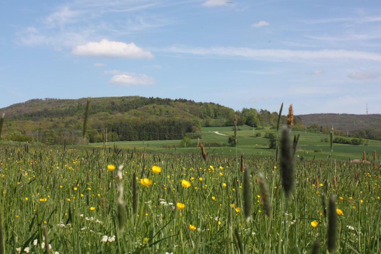 Fewo Litzendorf